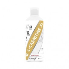 DY  L-carnitine XL 1000ml